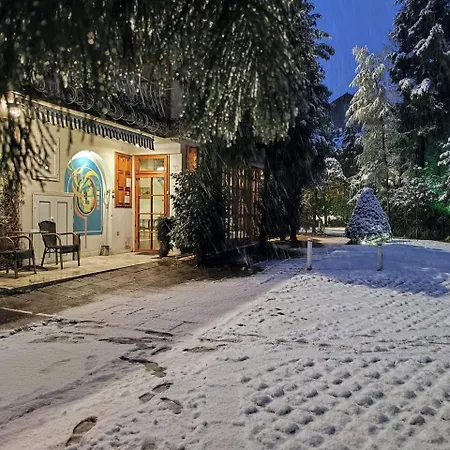 Отель Park Amfora -free Parking Владая