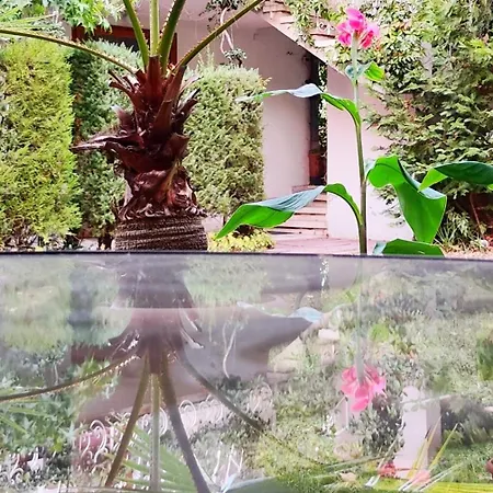 Park Amfora -free Parking Hotel Vladaya