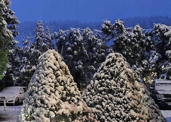 Park Amfora -free Parking