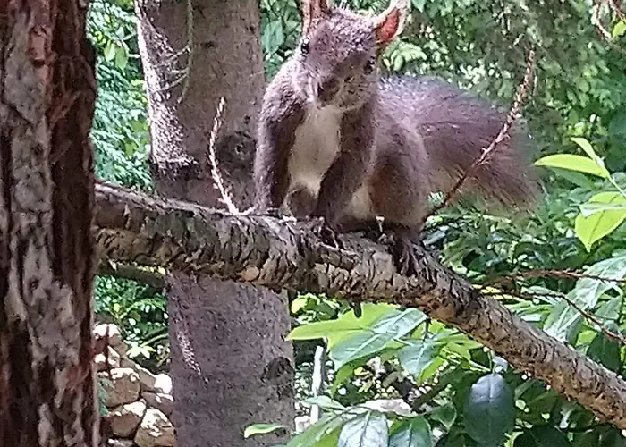 מלון Park Amfora -free Parking 3*