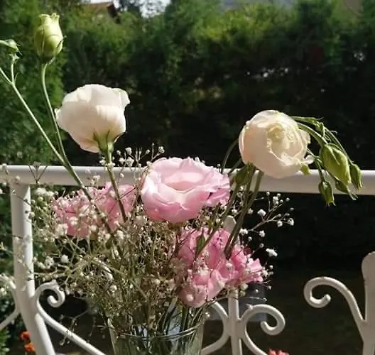 Hotel Park Amfora -free Parking