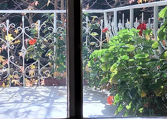 Hotel Park Amfora -free Parking