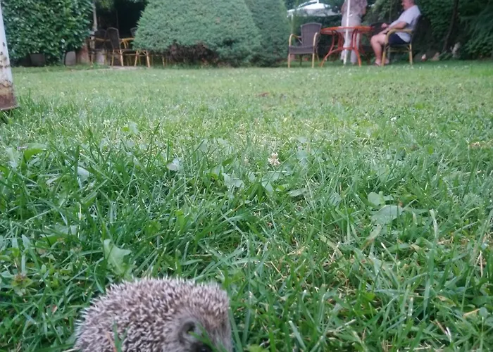 Park Amfora -free Parking 3* Vladaya