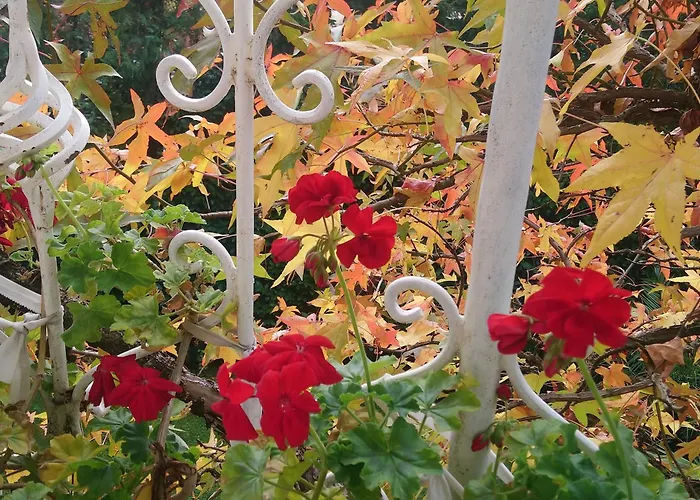 Park Amfora -free Parking Hotel 3*