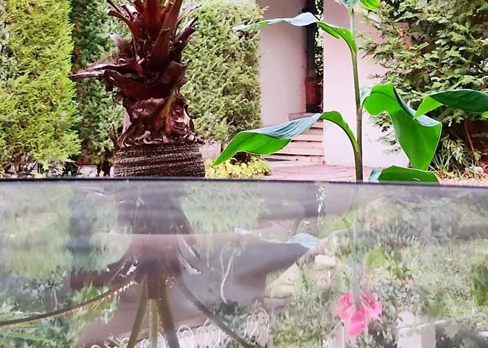 Park Amfora -free Parking Hotel Vladaya