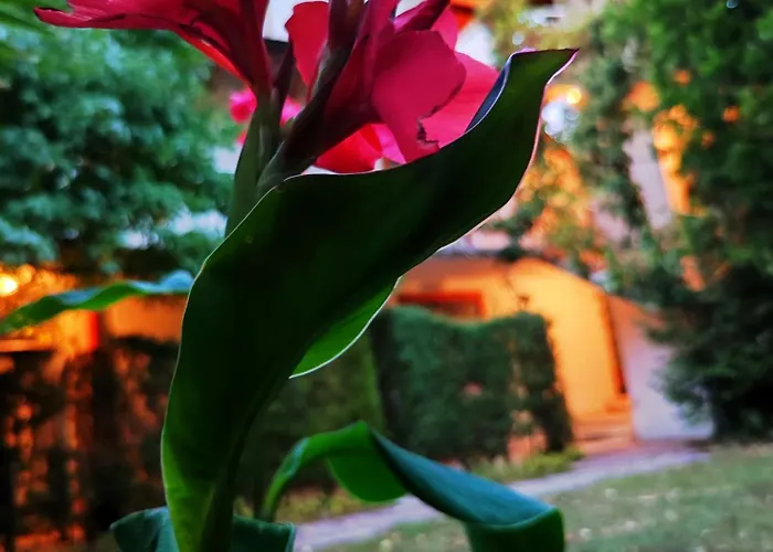 Hotel Park Amfora -free Parking 3*